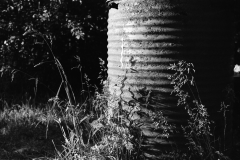IMG_20220530_0022