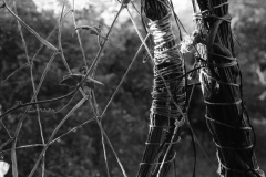 IMG_20220530_0023