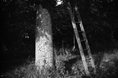 IMG_20220618_0009